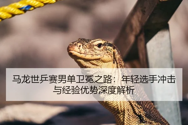 马龙世乒赛男单卫冕之路：年轻选手冲击与经验优势深度解析