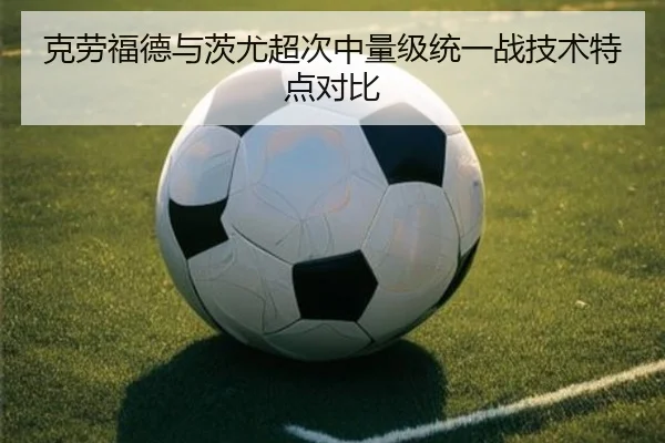 克劳福德与茨尤超次中量级统一战技术特点对比